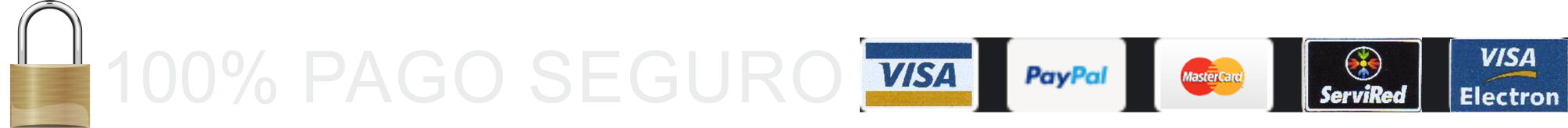 pago seguro